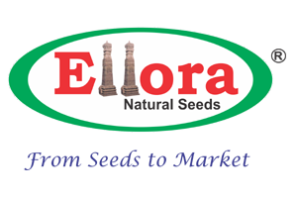 Ellora Brand